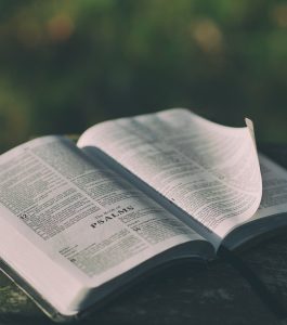 bible-1846174_1280